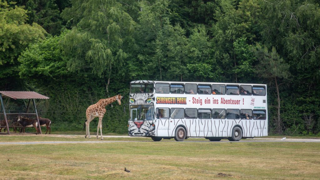 Was Kostet Bus Tour Serengeti Park www.landspatz.de
