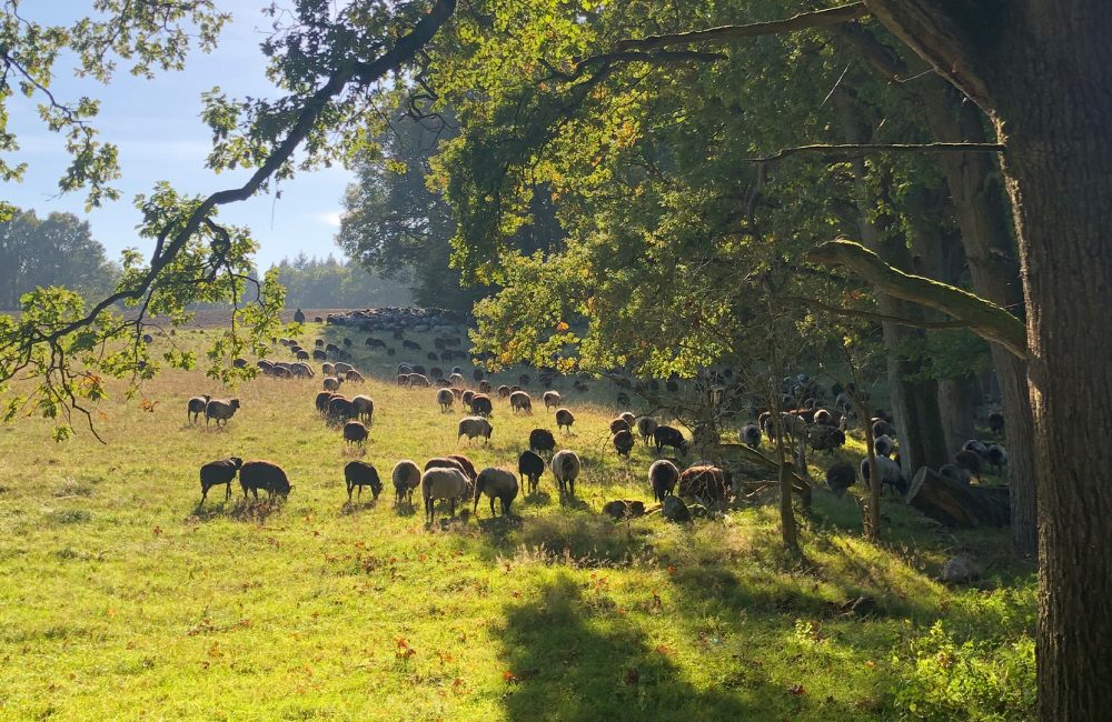 Rucksack und Wanderstiefel