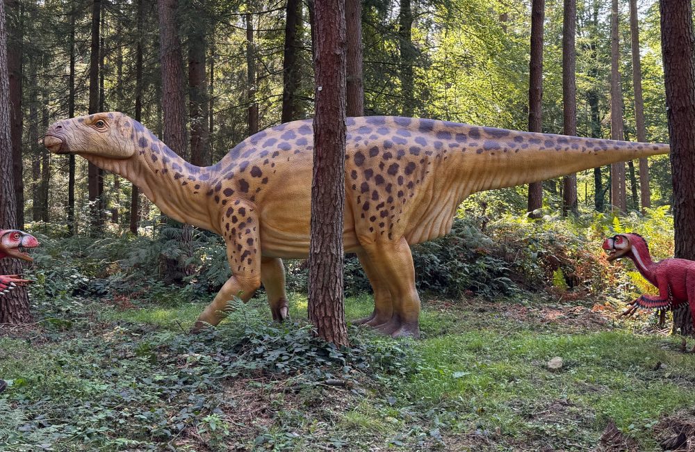 Dinowelt Wildpark Schwarze Berge