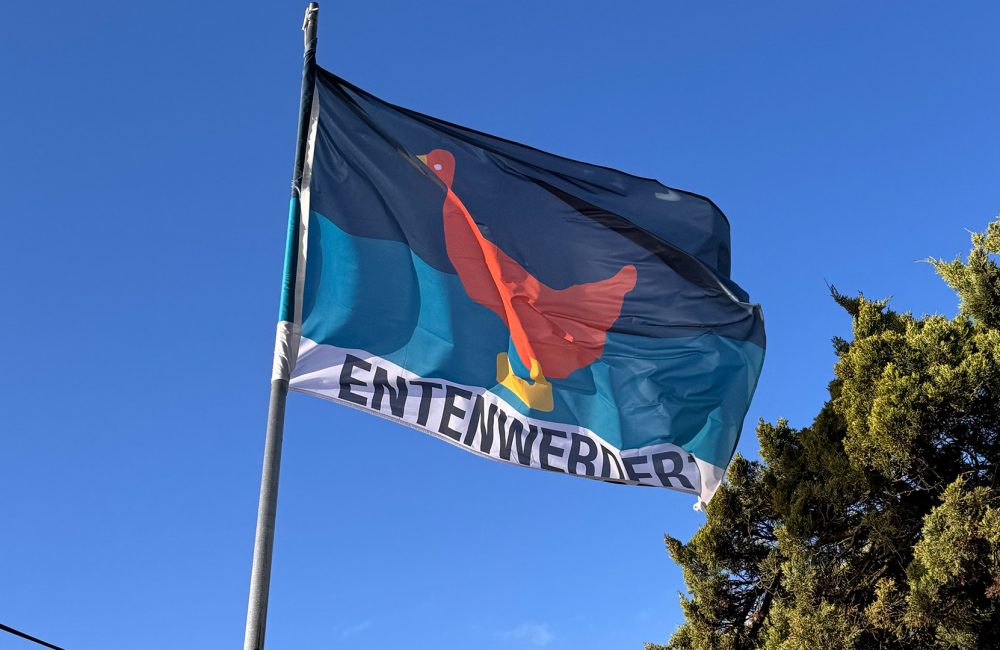 Entenwerder 1