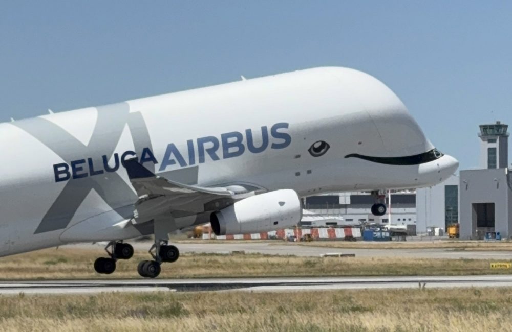 Belugas beobachten bei Airbus