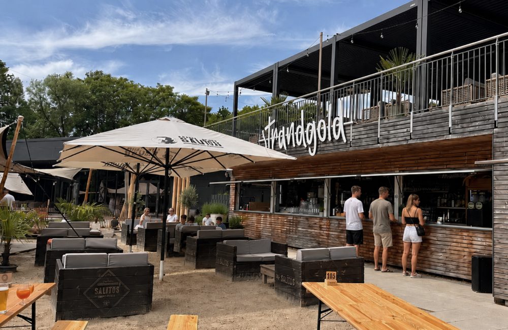Sommerfeeling am Weichelsee